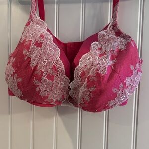 Cacique Fuchsia Lace-Embellished Bra